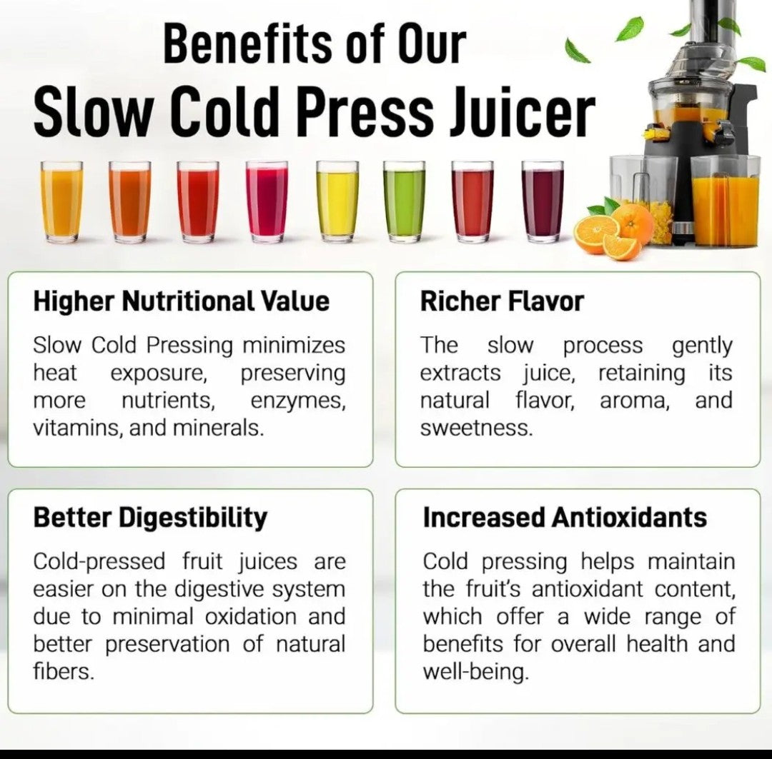 Cold Press Fruit Press Machine -Masticating Juicer with 96% Juice Yield